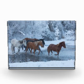 冬の馬のドライブ フォトブロック (正面)