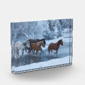 冬の馬のドライブ フォトブロック (左)