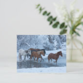 冬の馬のドライブ ポストカード (スタンド正面)