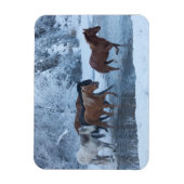 冬の馬のドライブ マグネット (縦)