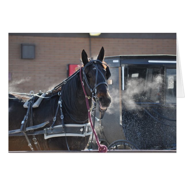 冬の馬連結器 (正面横)