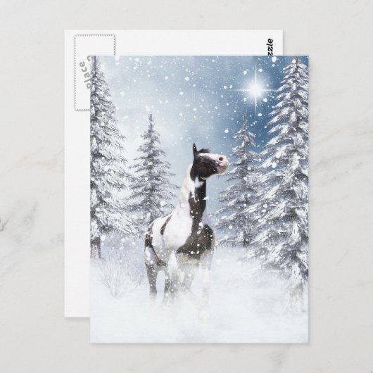 冬の馬 ポストカード (正面/裏面)