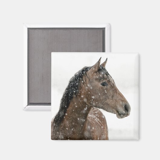 冬の馬 マグネット (正面/裏面)