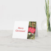 冬の魔法 シーズンカード (正面)