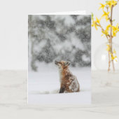 "冬の魔法"ホリデーカード カード (黄色い花)