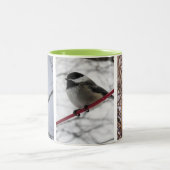 冬の鳥のマグカップ ツートーンマグカップ (中央)