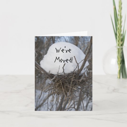 冬の鳥の巣のアドレスの変更 案内状 (正面)