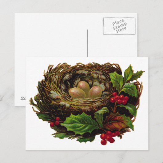 冬の鳥の巣 ポストカード (正面/裏面)