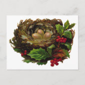 冬の鳥の巣 ポストカード (正面)