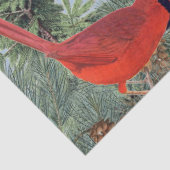 冬の鳥の森(鳥)ショウジョウコウカンチョウ《鳥》アメリカゴガラヌサッチスカイ 薄葉紙 (詳細)