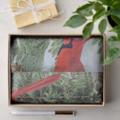 冬の鳥の森(鳥)ショウジョウコウカンチョウ《鳥》アメリカゴガラヌサッチスカイ 薄葉紙 (ギフト)