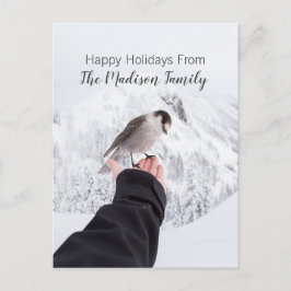 冬の鳥の雪のクリスマスカード シーズンポストカード