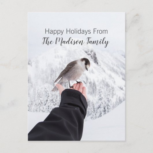 冬の鳥の雪のクリスマスカード シーズンポストカード (正面)