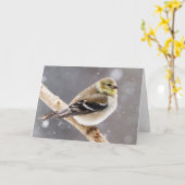 冬の鳥の雪のシーン – アメリカンゴールドフィンチ カード (黄色い花)