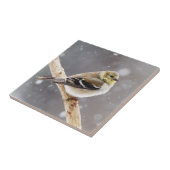 冬の鳥の雪場面-アメリカのGoldfinch タイル (側面)