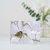 冬の鳥はがき ポストカード (スタンド正面)