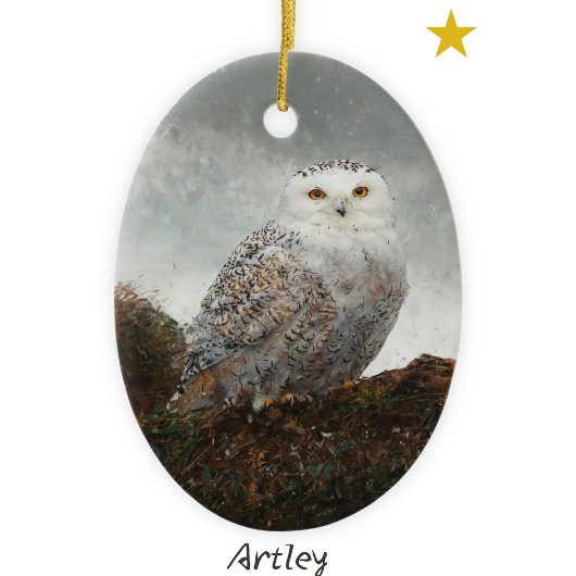 冬の鳥絵を描のクリスマス セラミックオーナメント