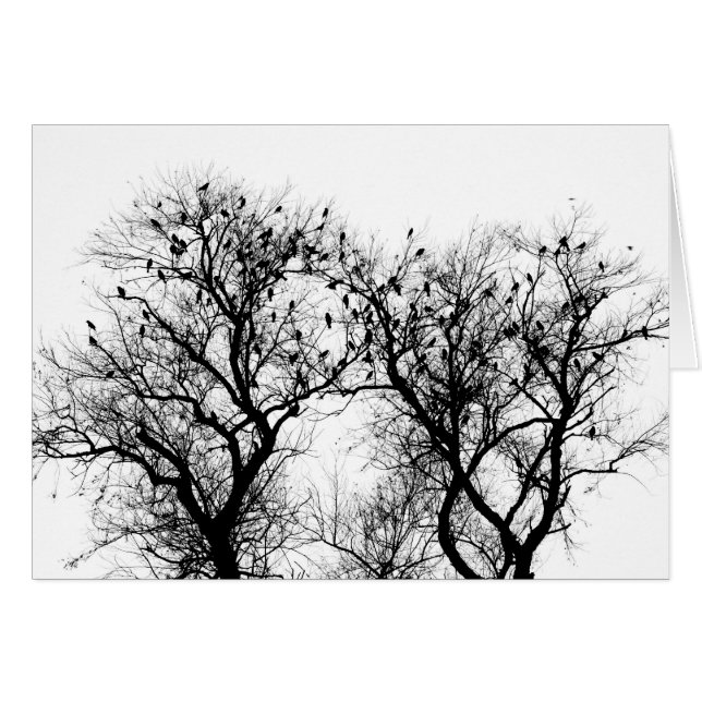 冬の鳥 (正面横)