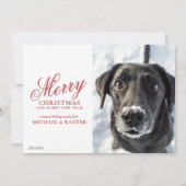 冬の鳥 - あたたかな願い シーズンカード (裏面)