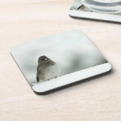 冬の鳥 コースター (左側)