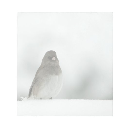 冬の鳥 ノートパッド (正面)