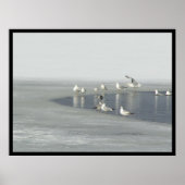 冬の鳥 ポスター (正面)