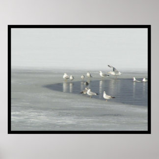 冬の鳥 ポスター