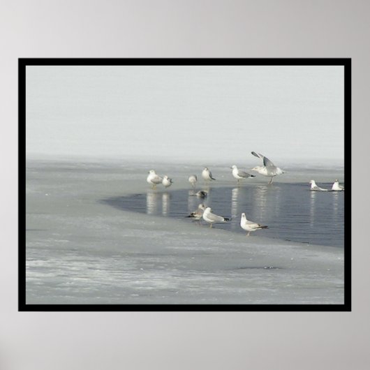 冬の鳥 ポスター (正面)