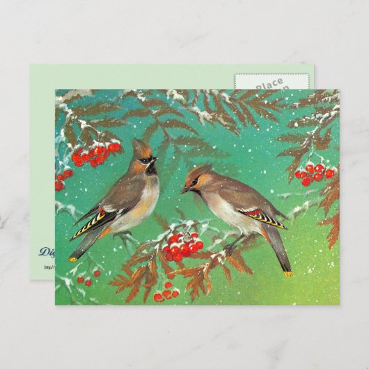 冬の鳥 ポストカード (正面/裏面)