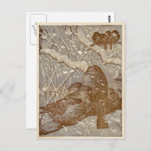 冬の鳥 ポストカード (正面/裏面)