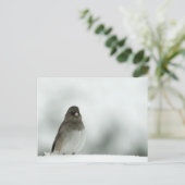 冬の鳥 ポストカード (スタンド正面)