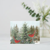 冬の鳥 林 カーディナル チカディー ヌッチ シーズンカード (スタンド正面)