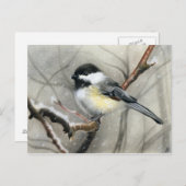 冬の鳥《鳥》アメリカゴガラはがき ポストカード (正面/裏面)