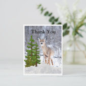 冬の鹿と雪のサンキューカード (スタンド正面)