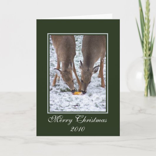 冬の鹿/クリスマスカード シーズンカード (正面)