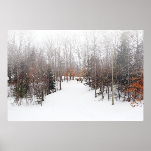 冬の鹿 ポスター (正面)