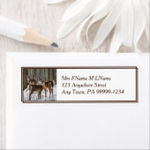 冬の鹿 ラベル (インサイチュ)