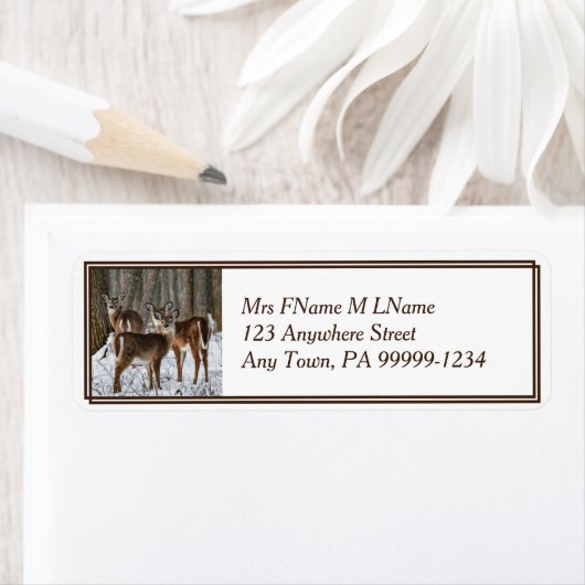 冬の鹿 ラベル (インサイチュ)