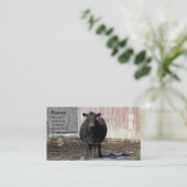 冬の黒アンガス牛 名刺 (スタンド正面)