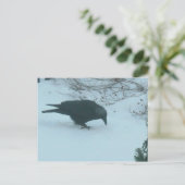 冬の黒カラス ポストカード (スタンド正面)