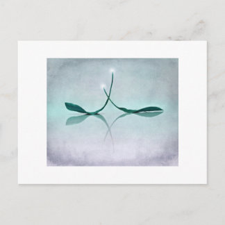 冬の ポストカード