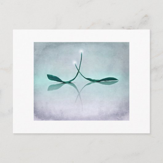 冬の ポストカード (正面)