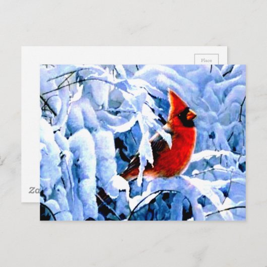 冬の(鳥)ショウジョウコウカンチョウに赤い雪 ポストカード (正面/裏面)