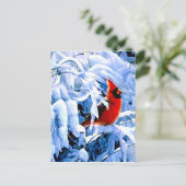 冬の(鳥)ショウジョウコウカンチョウに赤い雪 ポストカード (スタンド正面)