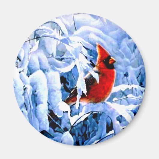 冬の(鳥)ショウジョウコウカンチョウに赤い雪 マグネット (正面)