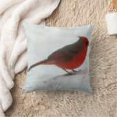 冬の(鳥)ショウジョウコウカンチョウの装飾用クッション クッション (ブランケット)