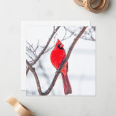 冬の（鳥）ショウジョウコウカンチョウフラットノテカード ノートカード (正面/裏面インサイチュ)