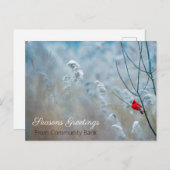 冬の（鳥）ショウジョウコウカンチョウホリデークリスマスポストカード ポストカード (正面/裏面)