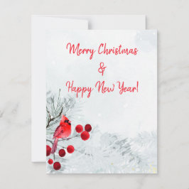 冬の（鳥）ショウジョウコウカンチョウメリークリスマス シーズンカード