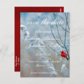 冬の（鳥）ショウジョウコウカンチョウ日付を保存招待状はがき ポストカード (正面/裏面)